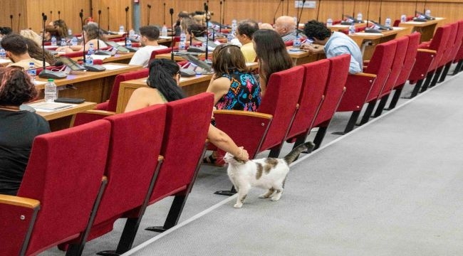 Sokakta yaşayan canlar için eylem planı