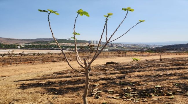 Doğru müdahale umutları yeşertti 