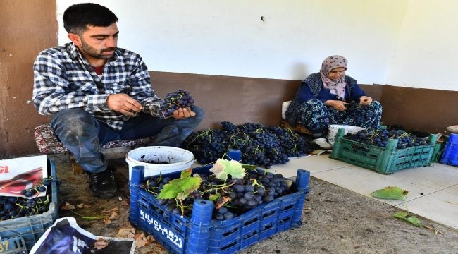 Hem üreticiye hem dar gelirliye destek